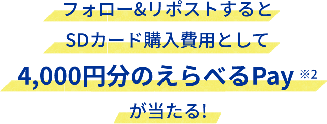 フォローリポストするとSDカード購入費用として4000円分のえらべるPayが当たる！